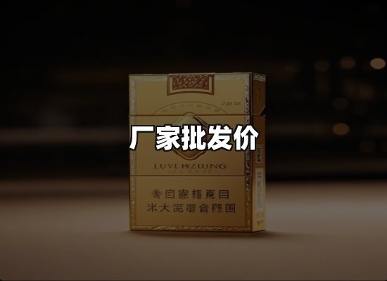 专业优势